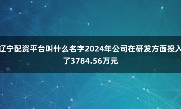 辽宁配资平台叫什么名字2024年公司在研发方面投入了3784.56万元