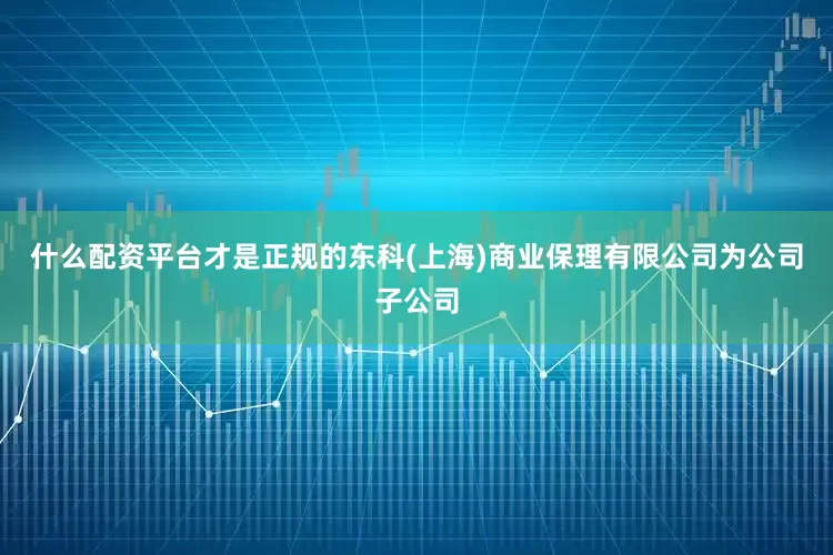 什么配资平台才是正规的东科(上海)商业保理有限公司为公司子公司