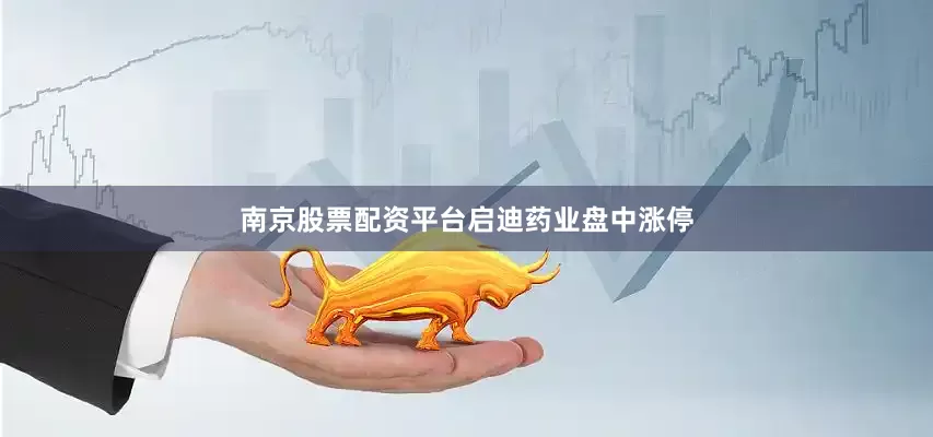 南京股票配资平台启迪药业盘中涨停